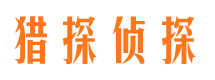 江城市调查公司